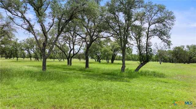 a green field with lots of trees