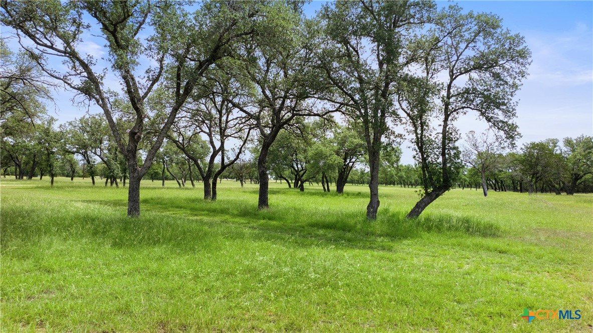 1241 Sandy Oaks Ranch Road Johnson City, TX 78636 - Photo 13 of 36