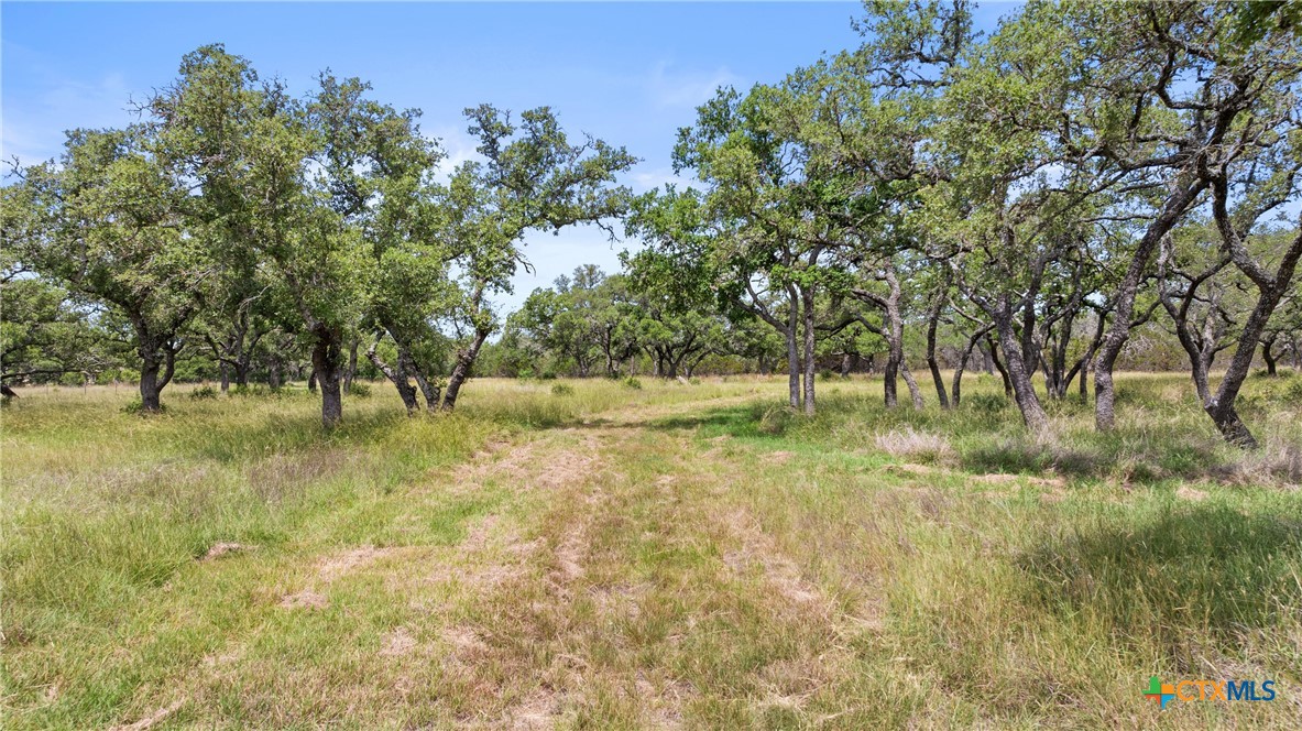 1241 Sandy Oaks Ranch Road Johnson City, TX 78636 - Photo 23 of 36