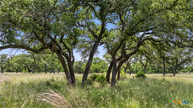 a view of backyard with outdoor and green space