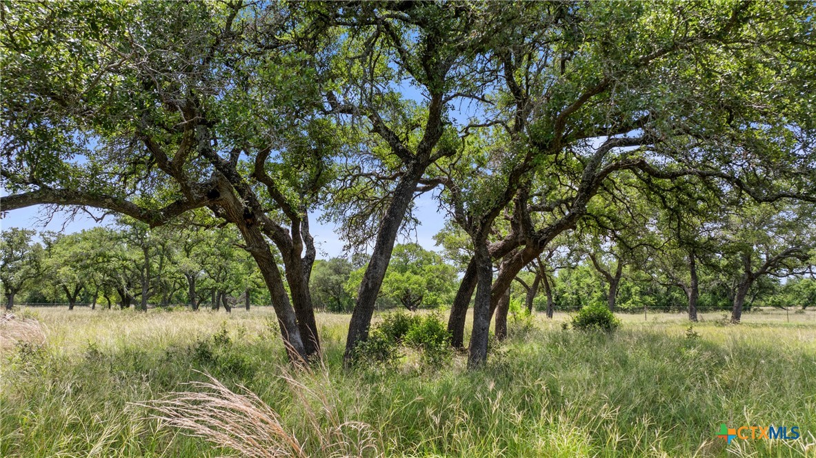 1241 Sandy Oaks Ranch Road Johnson City, TX 78636 - Photo 31 of 36
