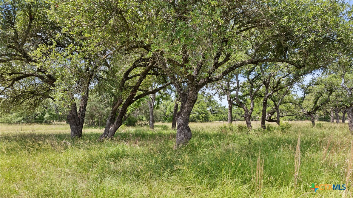 1241 Sandy Oaks Ranch Road Johnson City, TX 78636 - Photo 33 of 36
