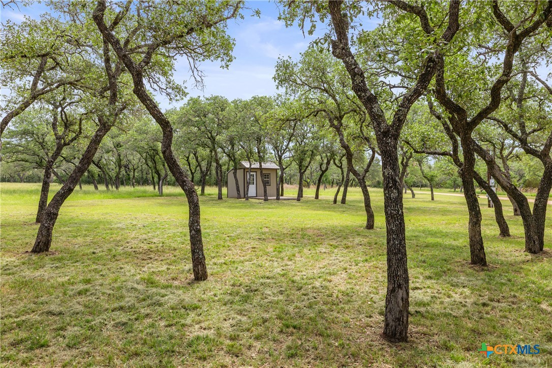 1241 Sandy Oaks Ranch Road Johnson City, TX 78636 - Photo 35 of 36