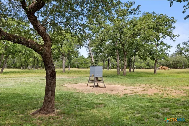 a park view with a tree