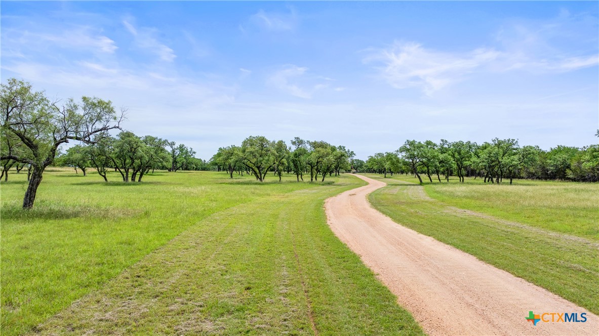 1241 Sandy Oaks Ranch Road Johnson City, TX 78636 - Photo 4 of 36