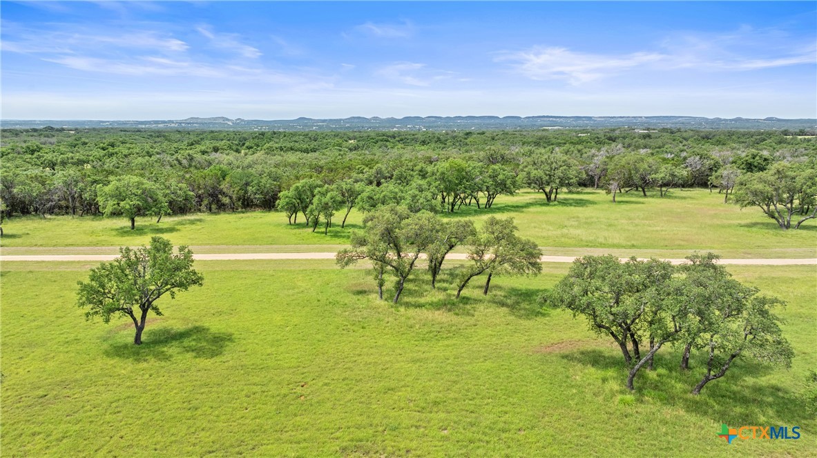 1241 Sandy Oaks Ranch Road Johnson City, TX 78636 - Photo 10 of 36