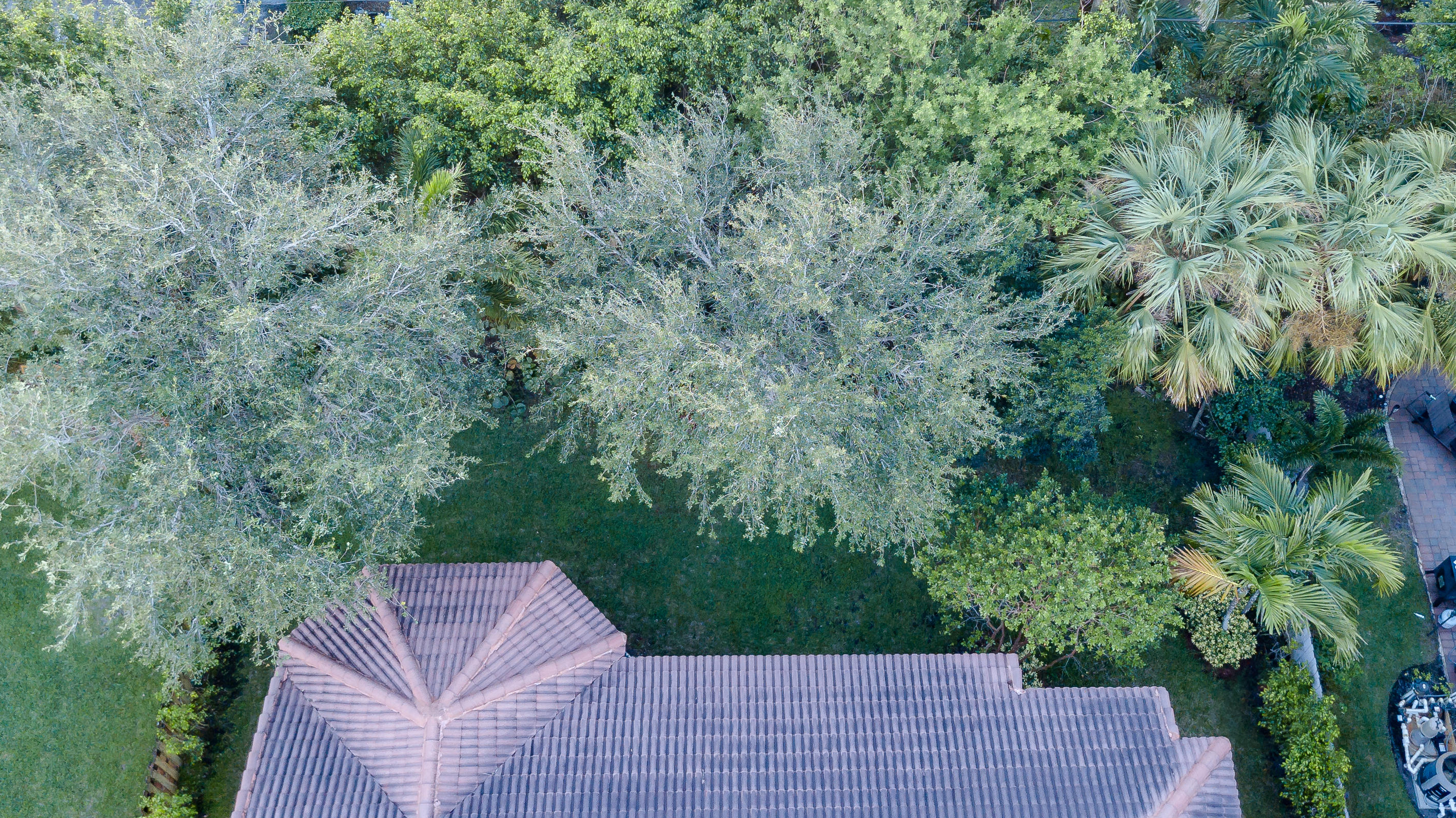 12929 Pennell Pines Road Boynton Beach, FL 33436 - Photo 3 of 53 backyard no virtual pool