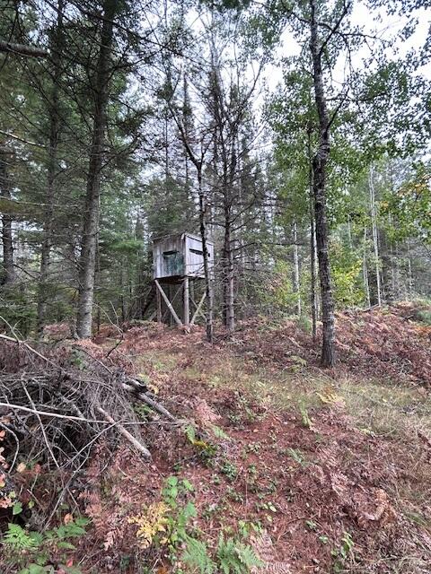 3025 Bean Creek Road Lachine, MI 49753 - Photo 21 of 32 Gallery Image 21