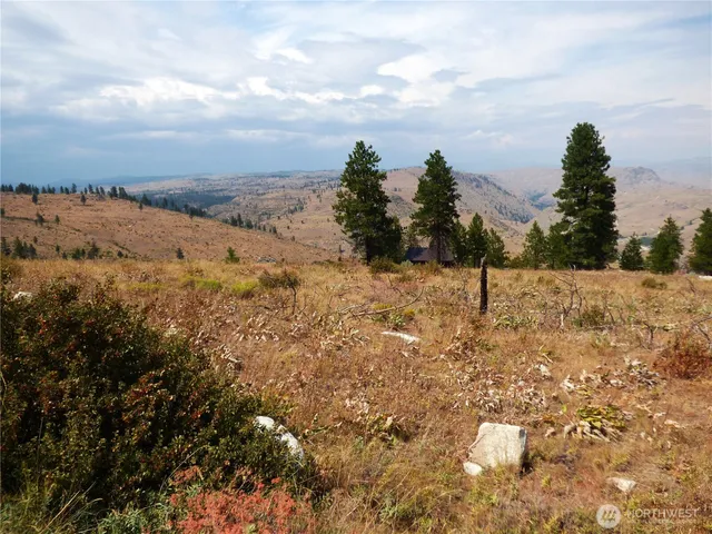 a view of a yard with trees