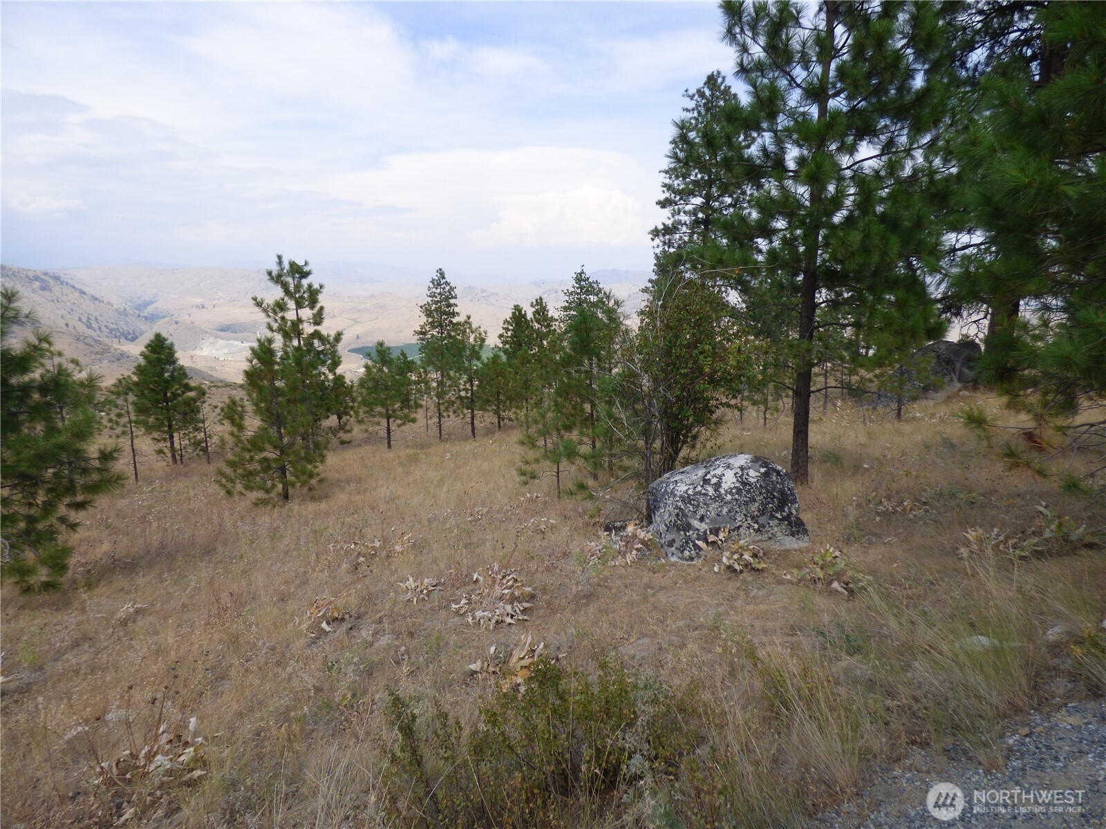 0 Mountain Point Road Brewster, WA 98812 - Photo 11 of 11 a view of a forest with trees in the background