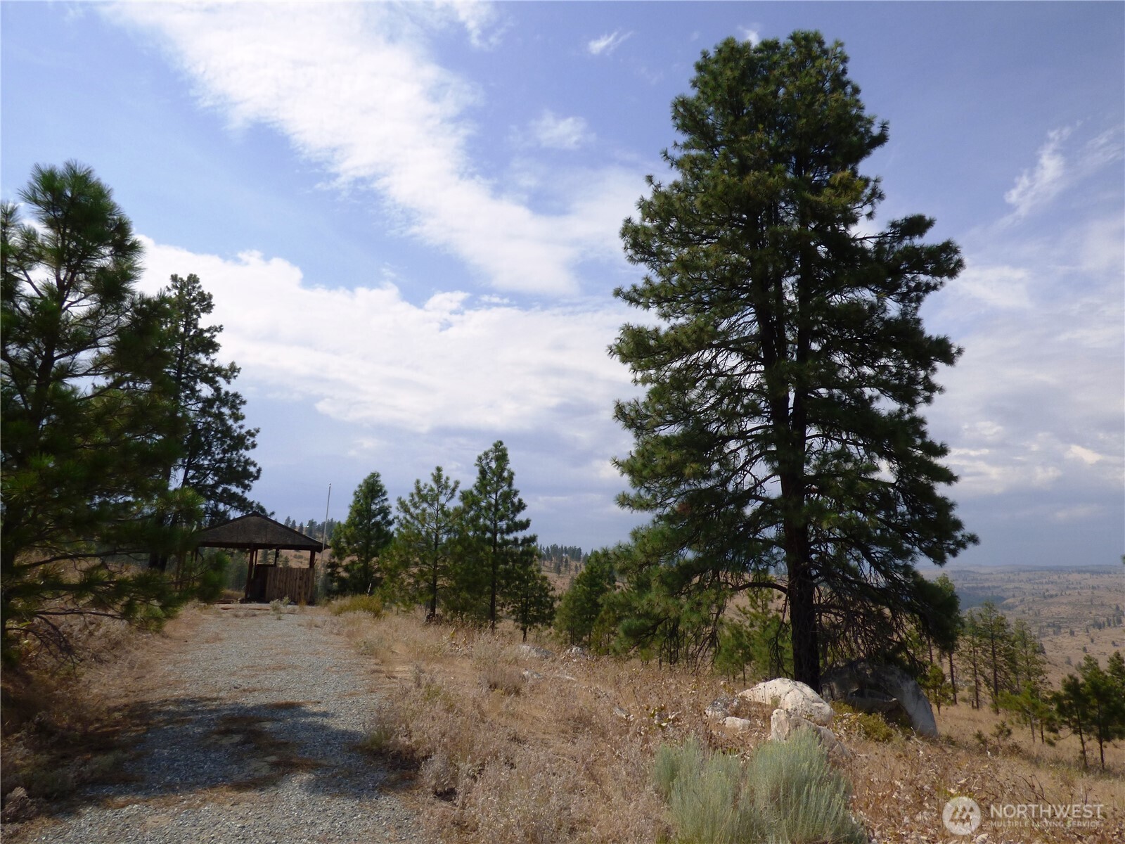 0 Mountain Point Road Brewster, WA 98812 - Photo 2 of 11 a view of a dry yard with trees