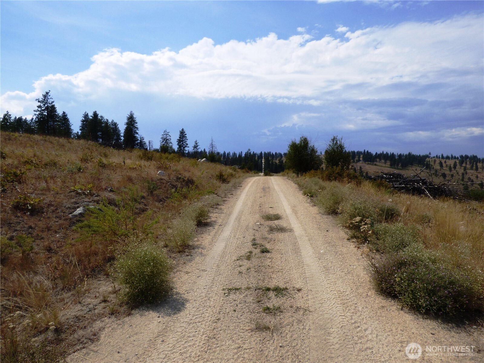 0 Mountain Point Road Brewster, WA 98812 - Photo 6 of 11 a view of a lake with a mountain view
