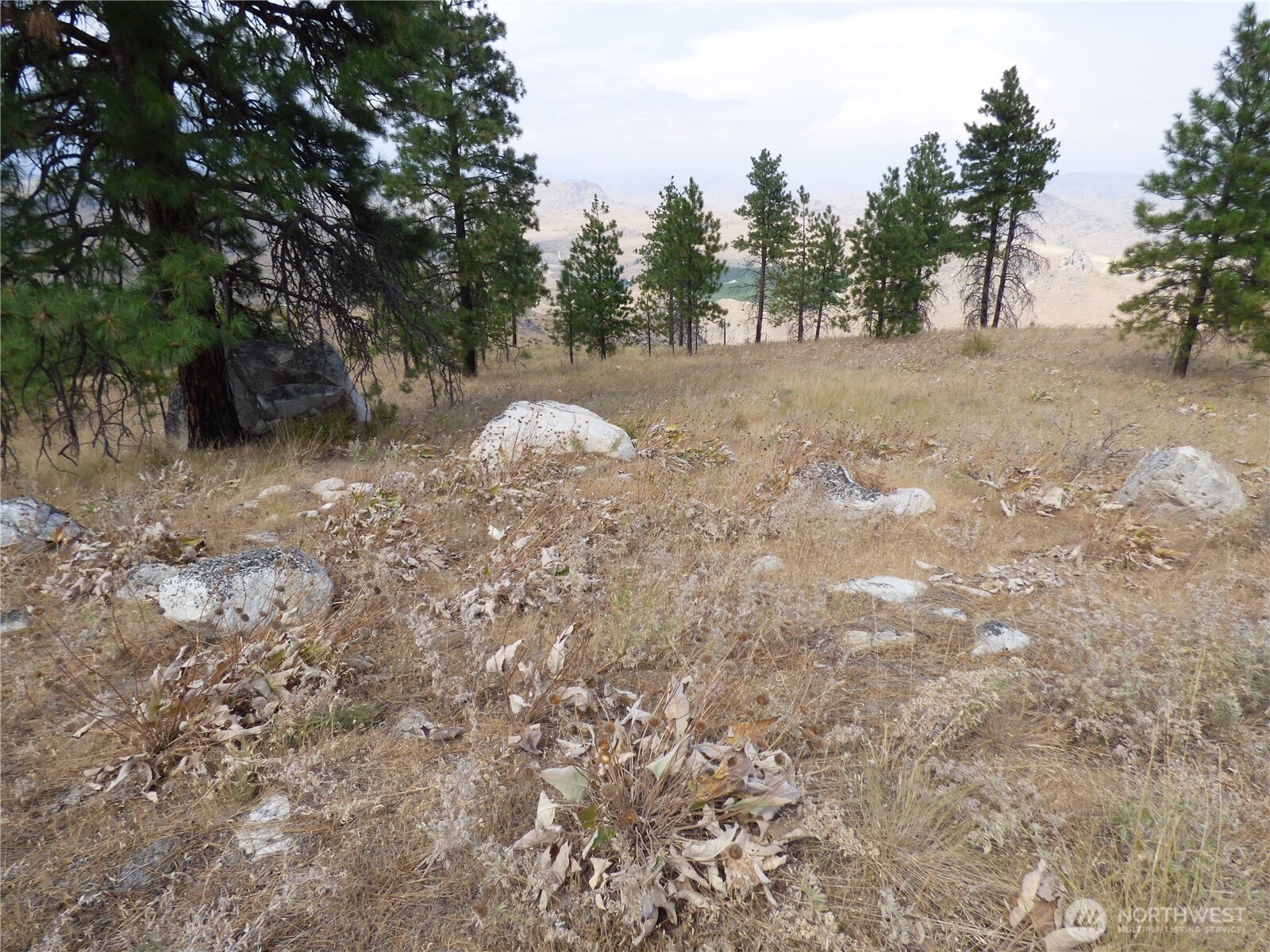 0 Mountain Point Road Brewster, WA 98812 - Photo 10 of 11 a view of a dirt road and trees
