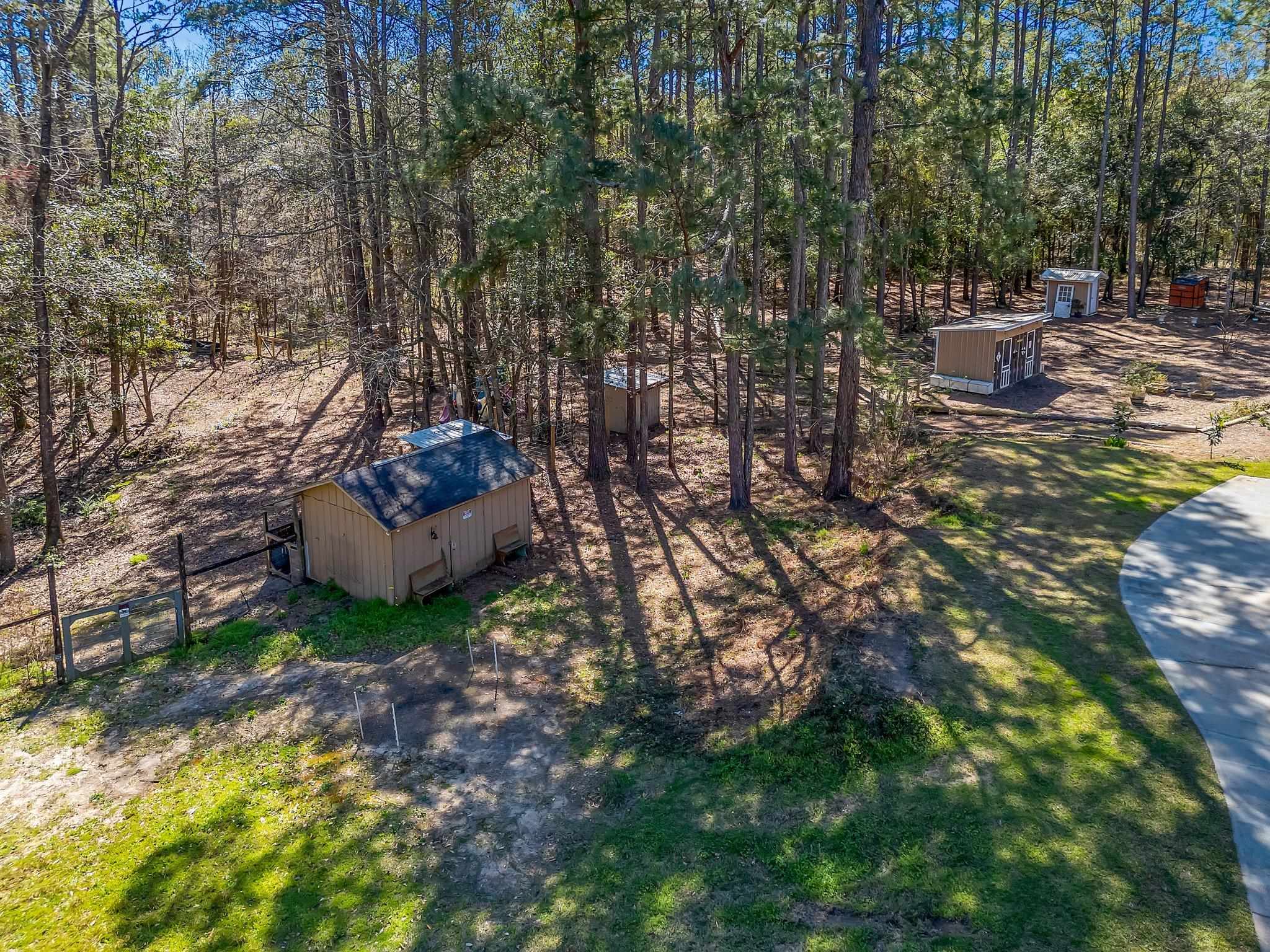 1183 Doerun Road Havana, FL 32333 - Photo 8 of 41 Gallery Image 8