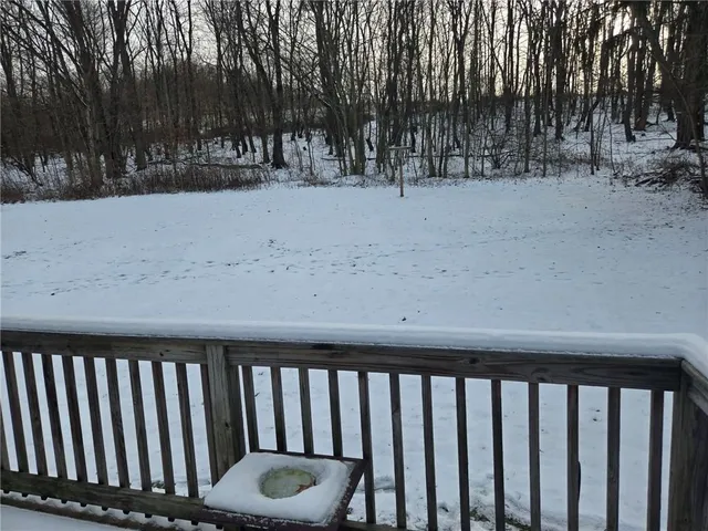 a view of road and trees