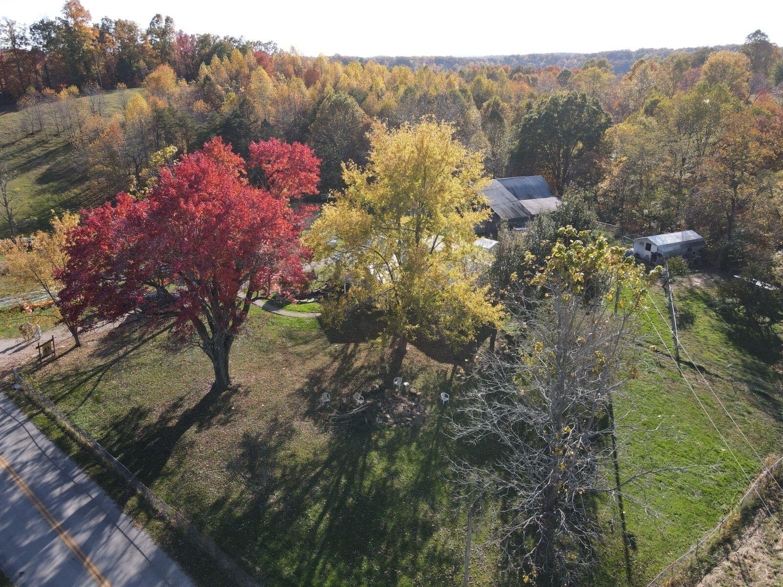 6033 Red Hill Road Livingston, KY 40445 - Photo 16 of 43 image000000