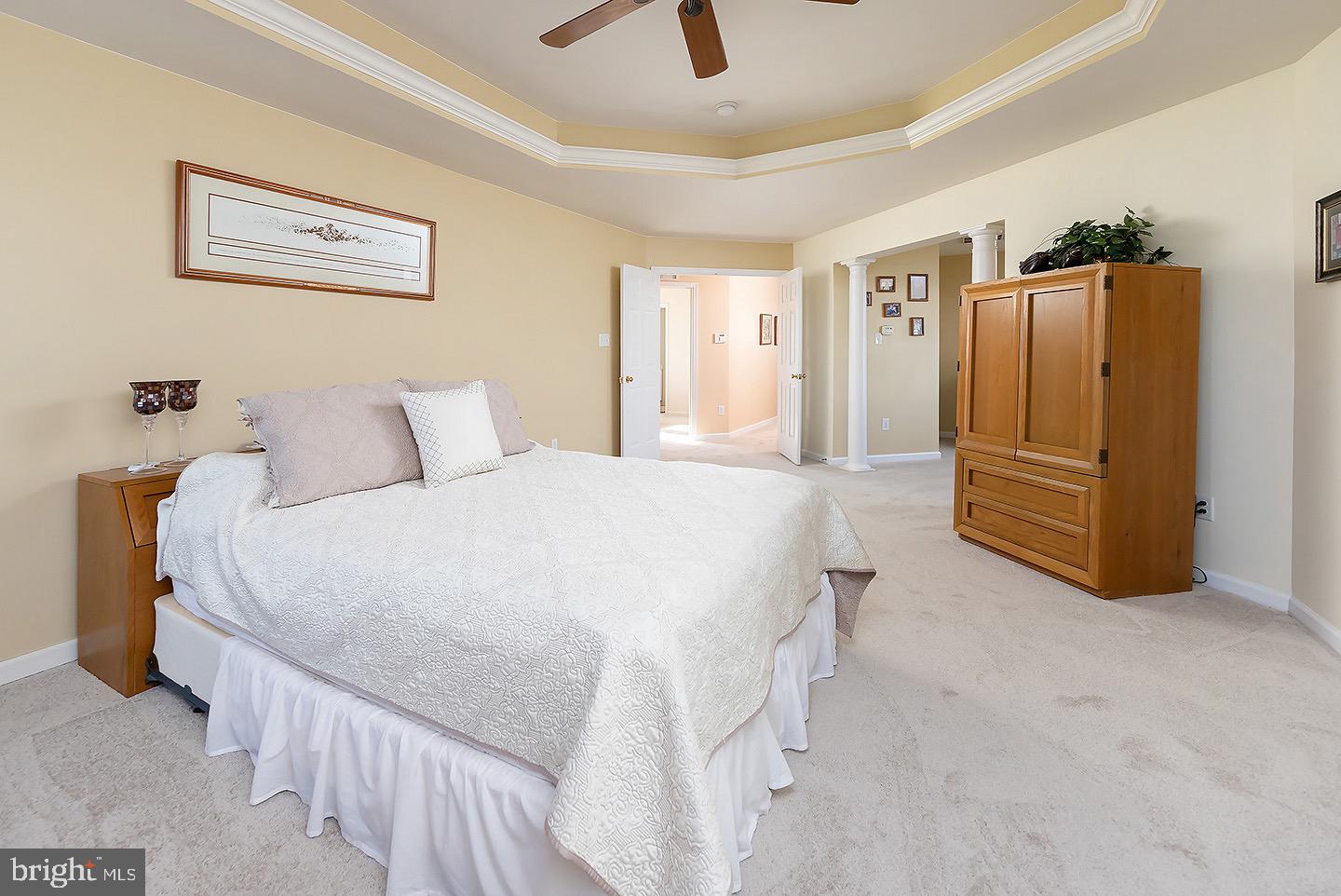 832 Middlesborough Way Mickleton, NJ 08056 - Photo 19 of 57 Primary Bedroom with tray ceiling and fan