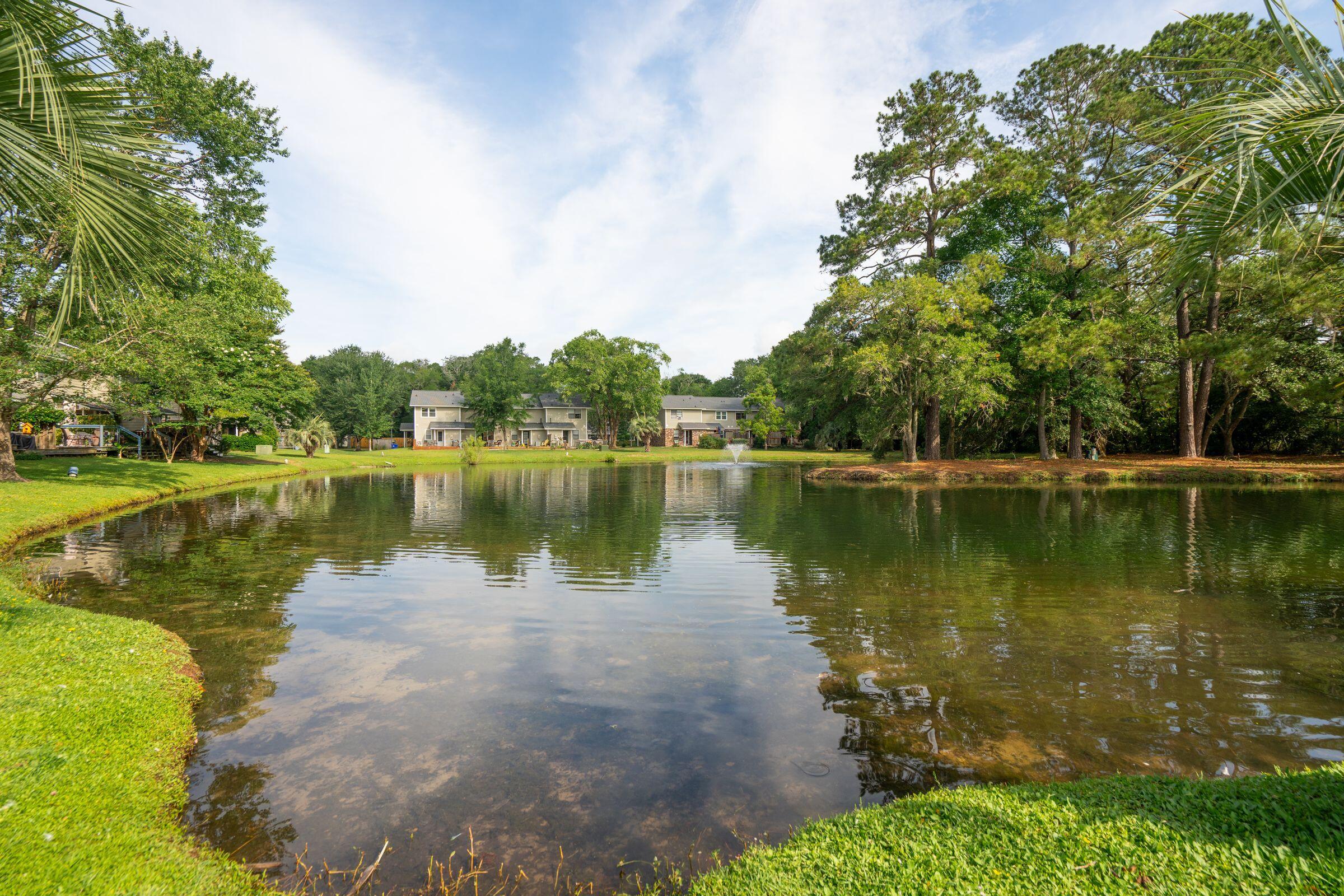 1166 Julian Clark Road Charleston, SC 29412 - Photo 36 of 39 1166JulianClarkRd-KeenEyeMarketing-040