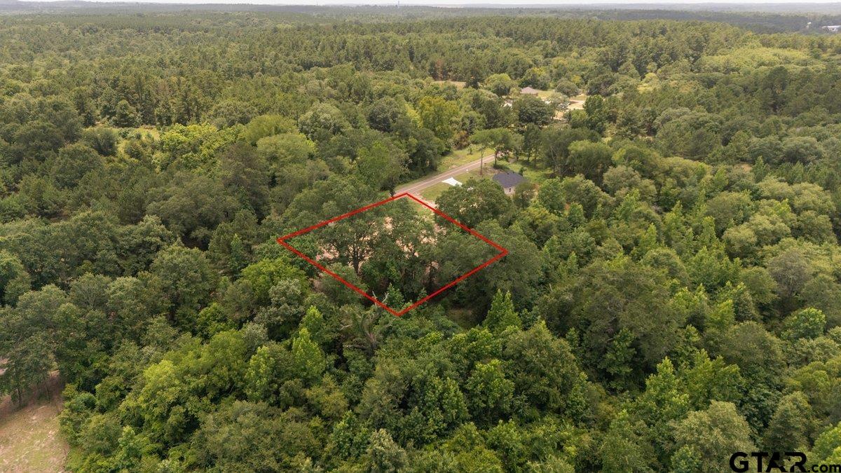 384 County Road Tyler, TX 75708 - Photo 8 of 8