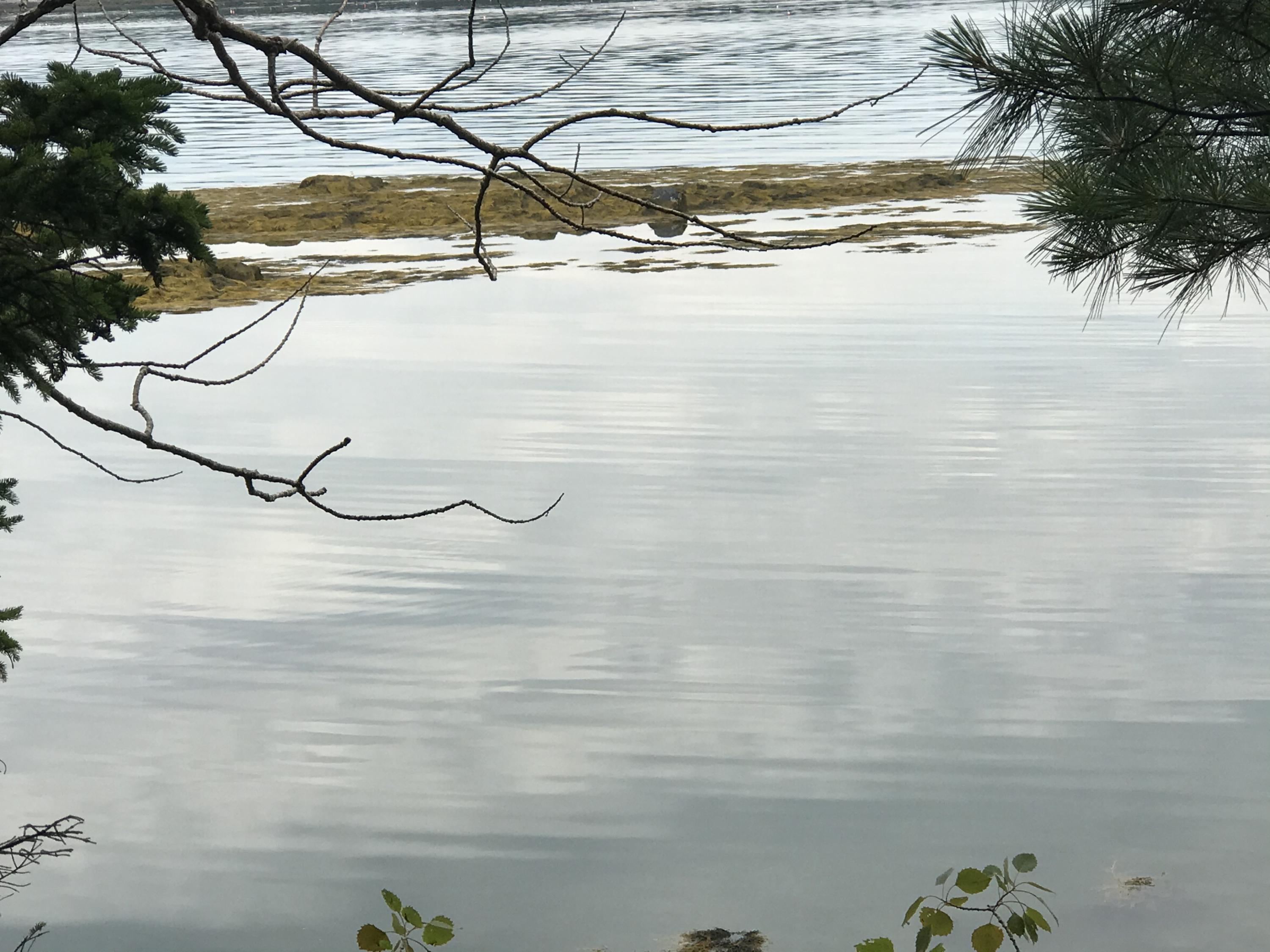 0 Basin Point Road Harpswell, ME 04079 - Photo 2 of 14 D5346D48-566F-4169-8FCE-ECD561F55D7C