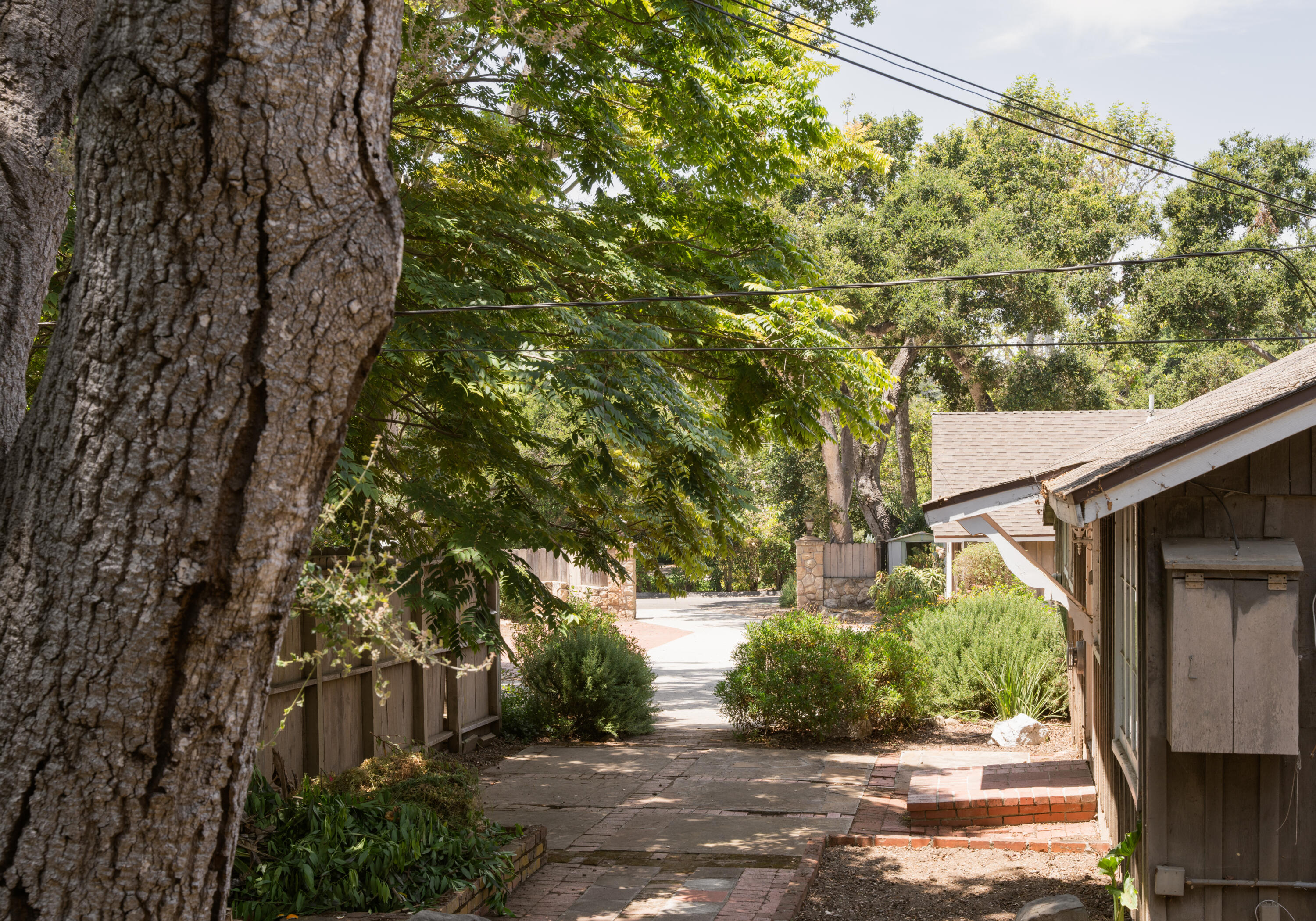 504 Hodges Lane Montecito, CA 93108 - Photo 12 of 14 a view of a yard with plants and large trees