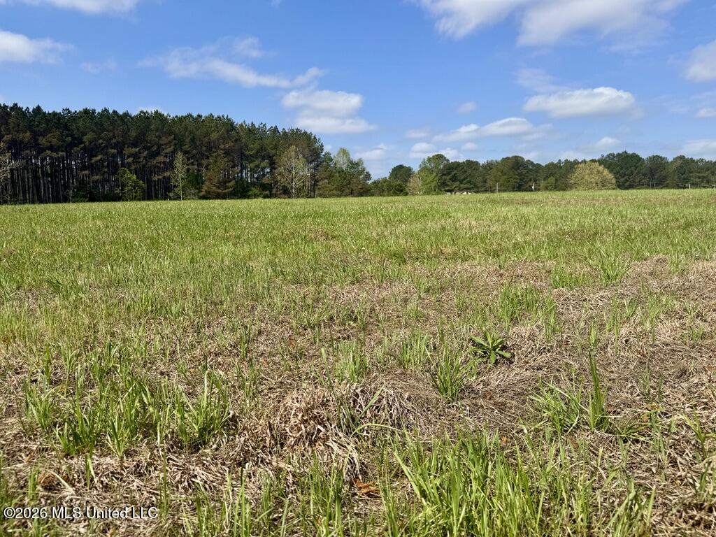 13 Stump Bridge Road Canton, MS 39046 - Photo 11 of 21 57CDD657-44F0-4A88-BB2B-6E253D7213E8_1_1