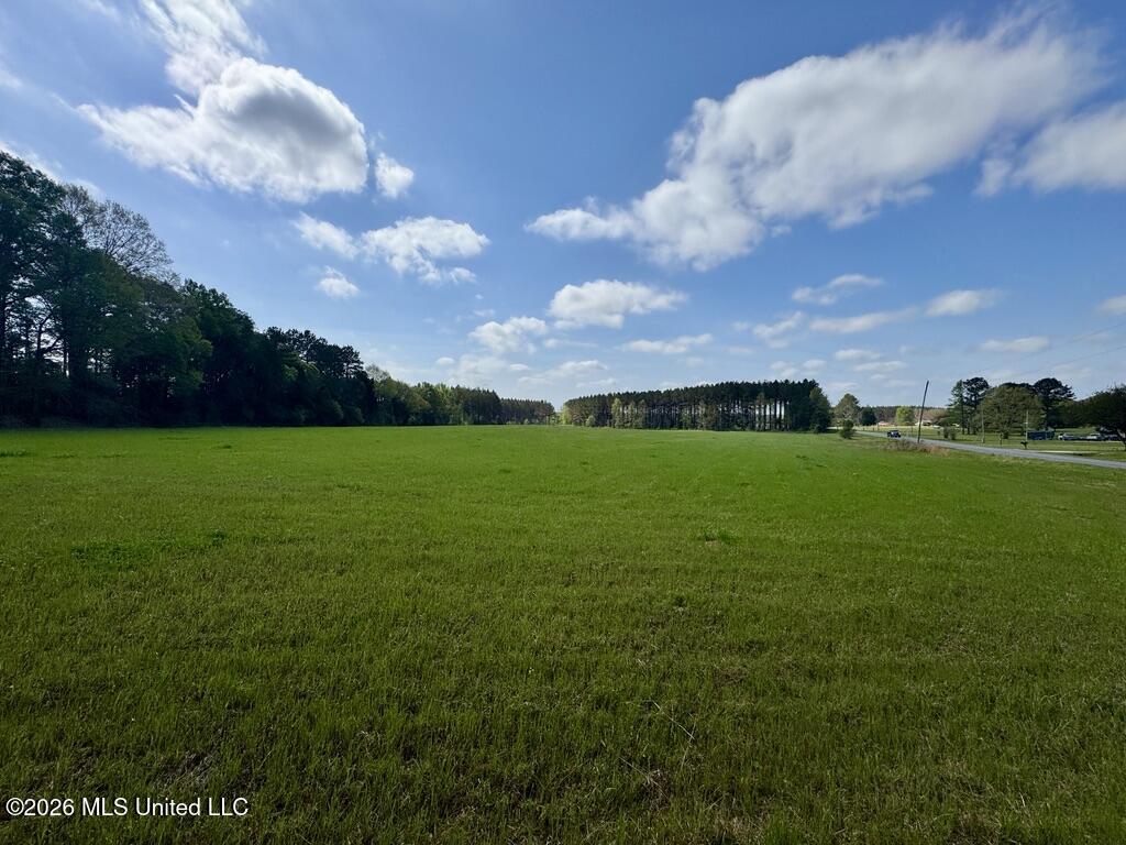 13 Stump Bridge Road Canton, MS 39046 - Photo 13 of 21 47421BED-9AC6-48AD-B0E7-DD861CB94ED4_1_1