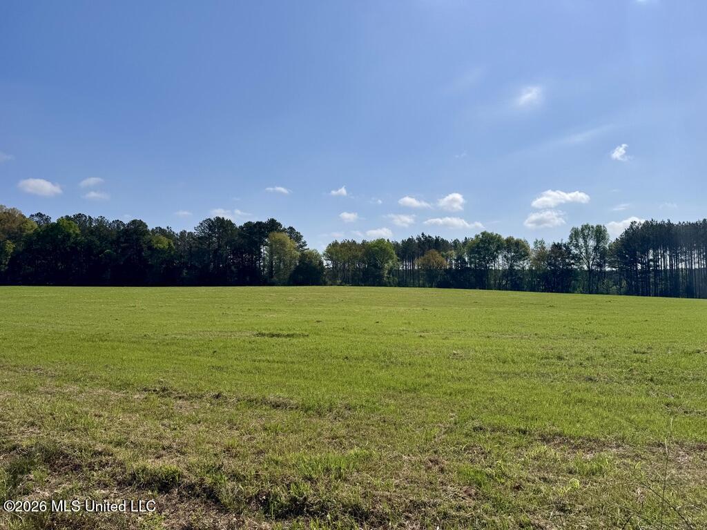 13 Stump Bridge Road Canton, MS 39046 - Photo 14 of 21 BEB5A6CA-A76A-4861-A3EB-3A4611E0FBB4_1_1