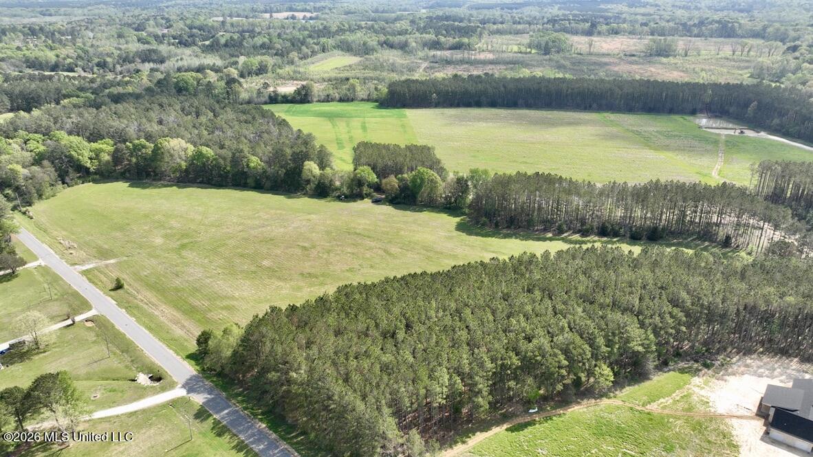 13 Stump Bridge Road Canton, MS 39046 - Photo 15 of 21 A44166BB-7A1C-4A7D-B2B3-56EF74F122B1_1_1