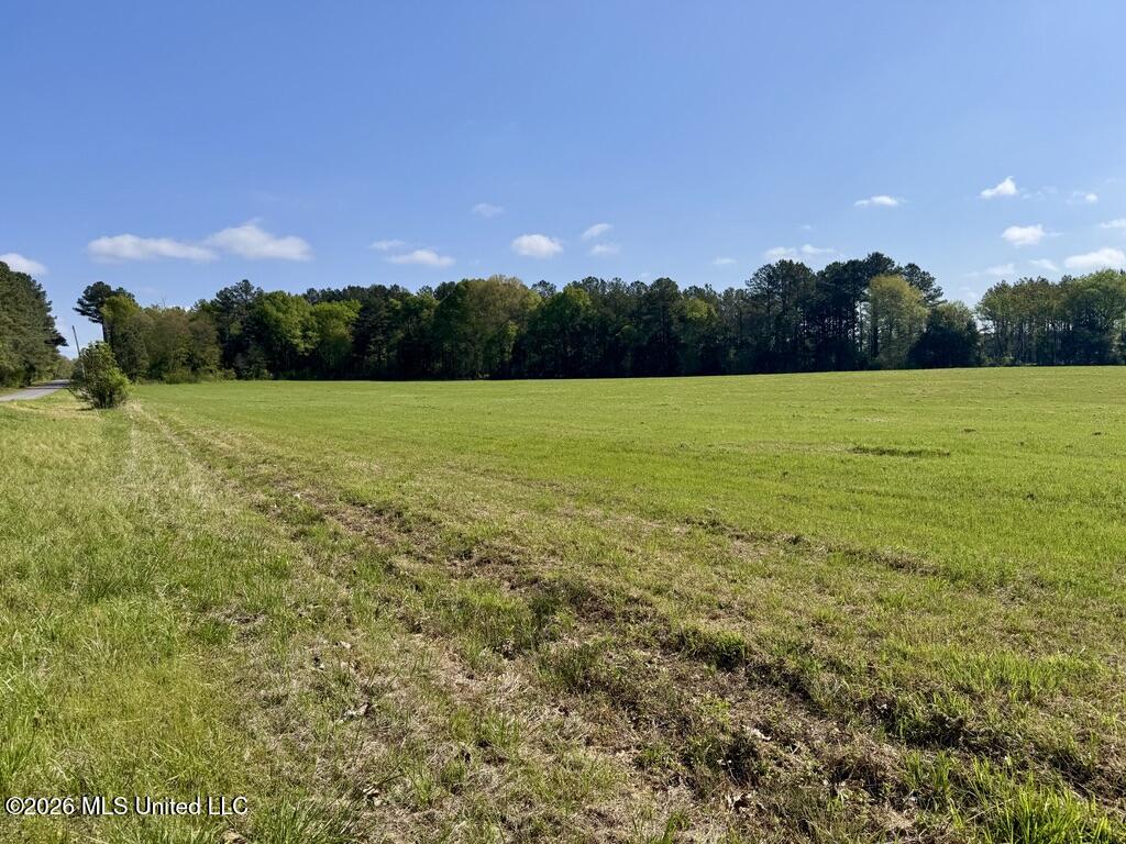 13 Stump Bridge Road Canton, MS 39046 - Photo 16 of 21 6D9098CA-A812-482D-B680-EAC8AE9BEB2F_1_1