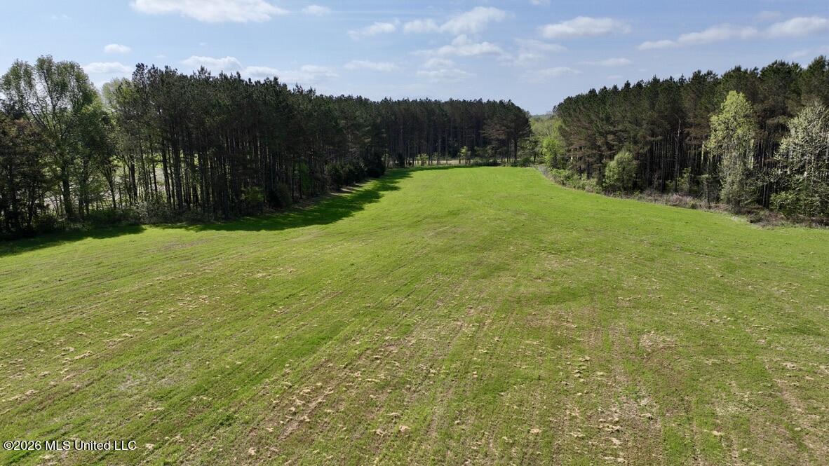 13 Stump Bridge Road Canton, MS 39046 - Photo 17 of 21 584AF57A-222E-49EC-9F8E-B5DE8CAD0DA8_1_1