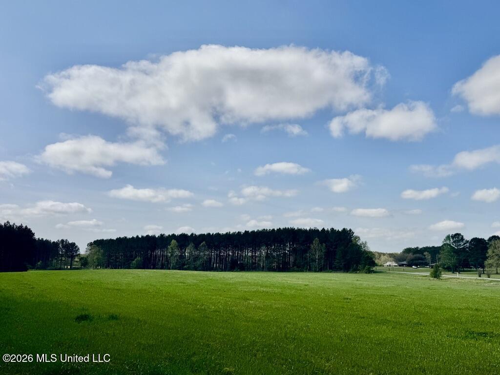 13 Stump Bridge Road Canton, MS 39046 - Photo 18 of 21 DA780EE6-2737-4A18-8512-E2B63E59E1A1_1_1