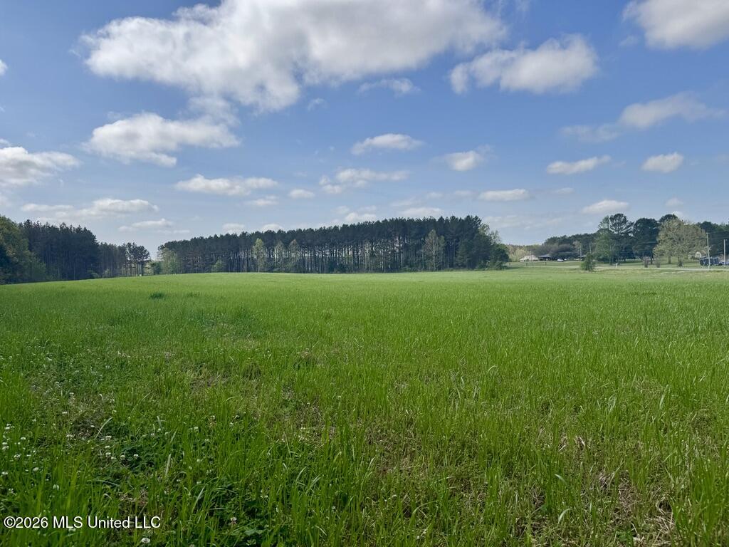13 Stump Bridge Road Canton, MS 39046 - Photo 20 of 21 A869CB4E-DC62-4168-BA81-FA4767A14907_1_1