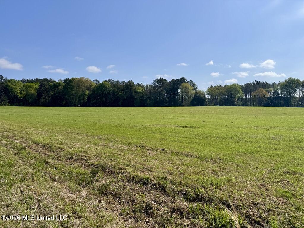 13 Stump Bridge Road Canton, MS 39046 - Photo 2 of 21 9117C2A4-E791-43C4-84E0-9F72A3F1D7EF_1_1