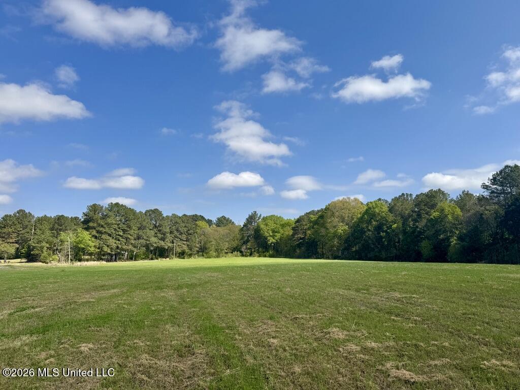 13 Stump Bridge Road Canton, MS 39046 - Photo 4 of 21 5E3B88C8-36AC-47A7-99B5-0A8D90309483_1_1