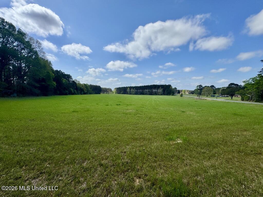 13 Stump Bridge Road Canton, MS 39046 - Photo 5 of 21 3A0D96A1-96DC-4D2A-B986-35B00F7C1A96_1_1