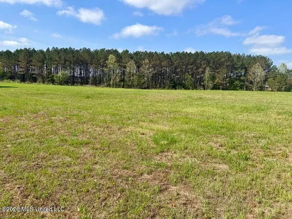 $169,500 | 13 Stump Bridge Road, Canton, MS 39046