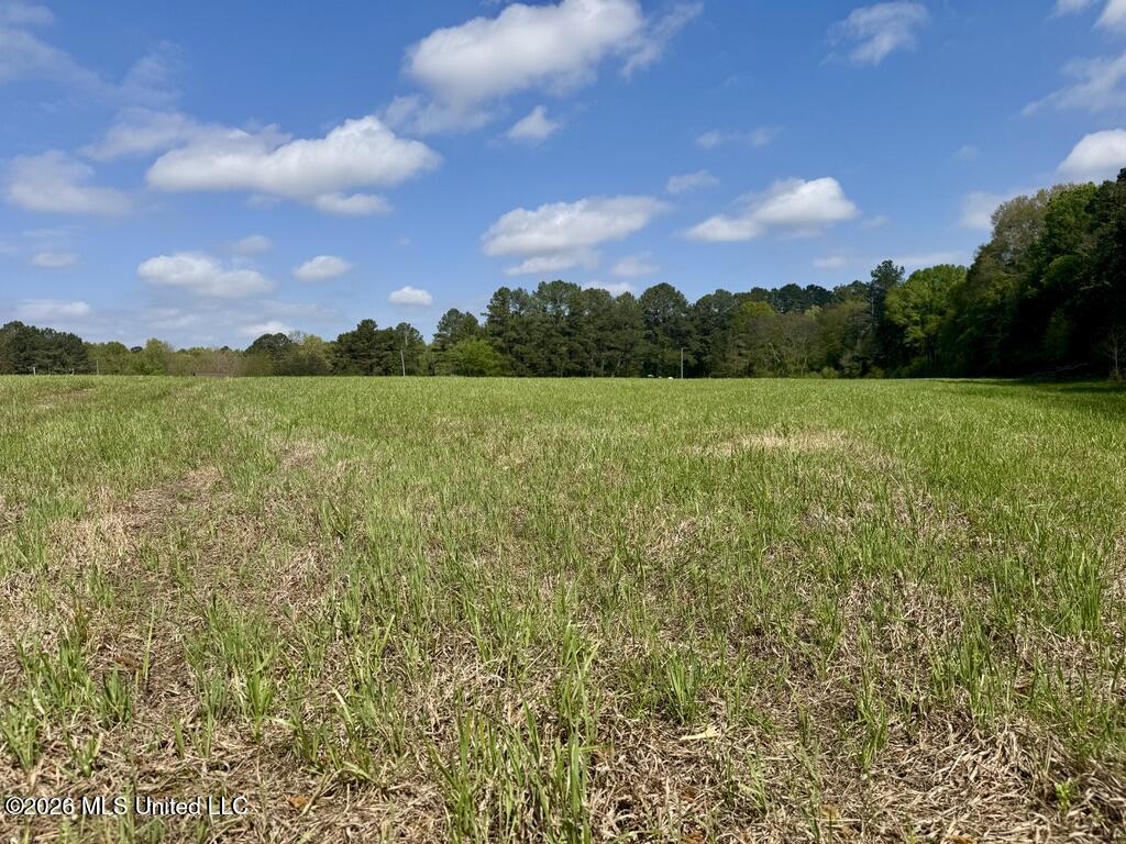 13 Stump Bridge Road Canton, MS 39046 - Photo 9 of 21 B14558D5-E9AB-47D7-AF15-FA2CEB52825D_1_1