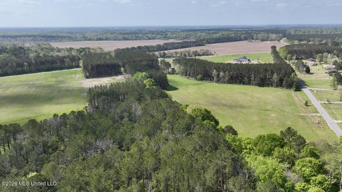 13 Stump Bridge Road Canton, MS 39046 - Photo 10 of 21 3E978171-E198-467E-8A1D-2238C9B553AC_1_1