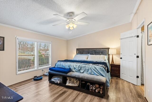 736 Susong Memorial Road Greeneville, TN 37743 - Photo 11 of 62 DSC00827