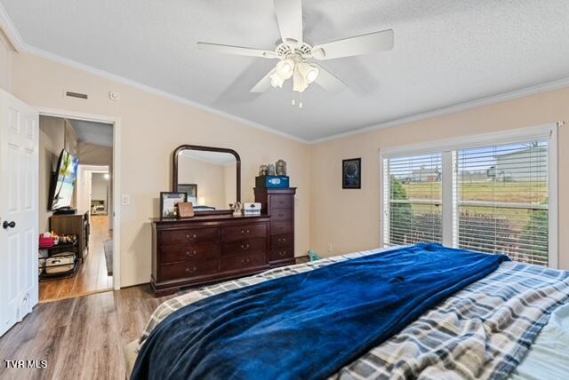 736 Susong Memorial Road Greeneville, TN 37743 - Photo 13 of 62 DSC00839