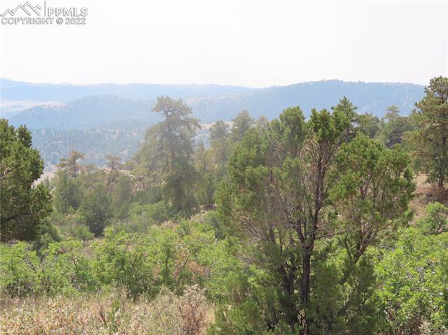 493 Cheyenne Road Florissant, CO 80816 - Photo 2 of 24 Gallery Image 2