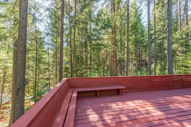 a view of sitting space with large trees