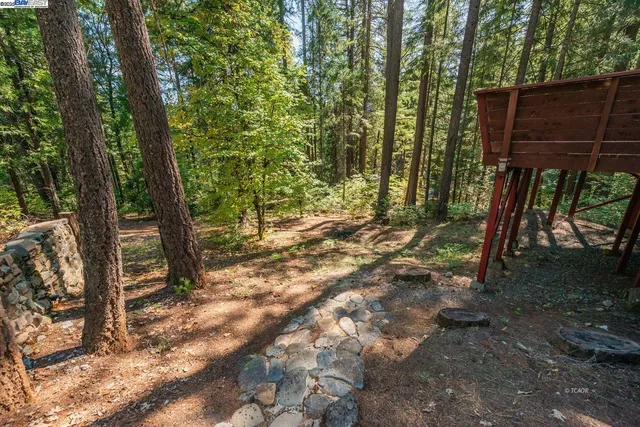 a view of a backyard with wooden fence and trees