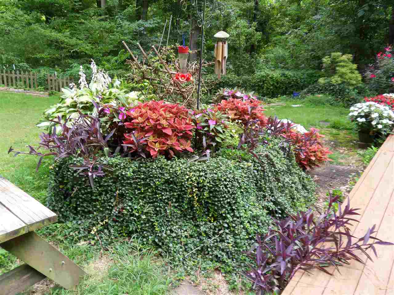 Gallery Image 6