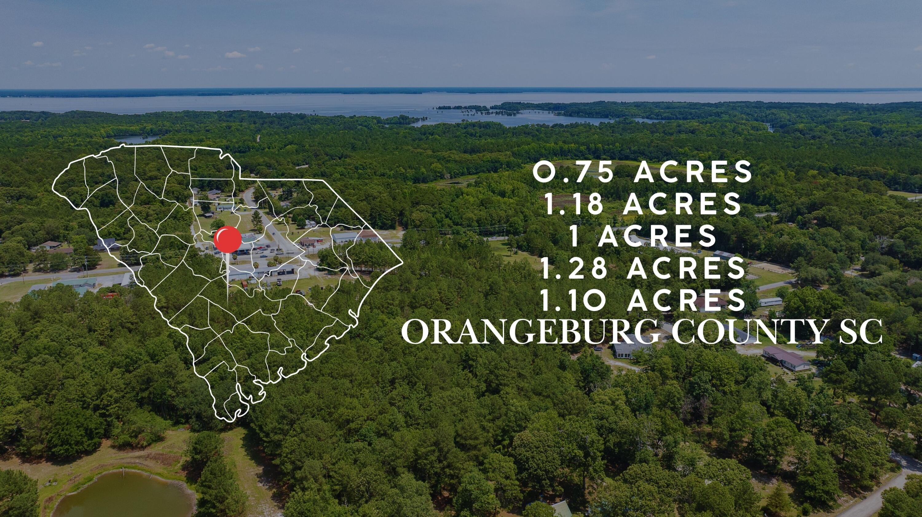 1 Broken Arrow Road Eutawville, SC 29048 - Photo 1 of 32 1
