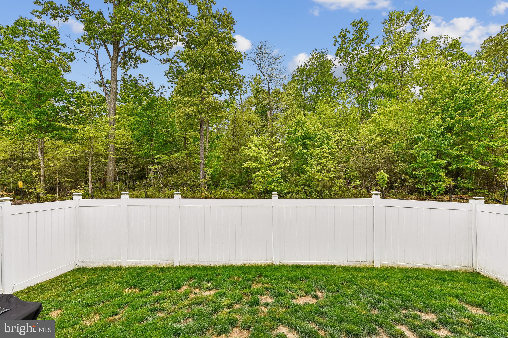 11 Teatree Lane Elkton, MD 21921 - Photo 6 of 34
