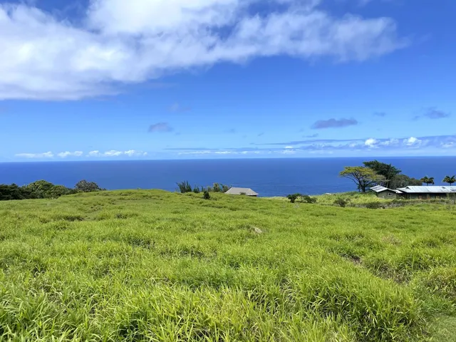 a view of a bird bath