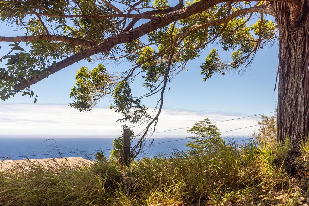 Lot A Spencer Road Laupahoehoe, HI 96764 - Photo 13 of 16 a view of a yard