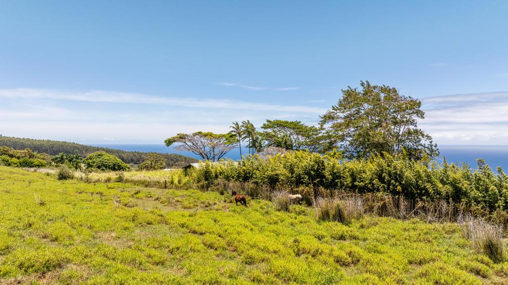 Lot A Spencer Road Laupahoehoe, HI 96764 - Photo 15 of 16 a view of a lake